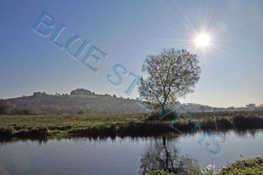 Watermeadows C